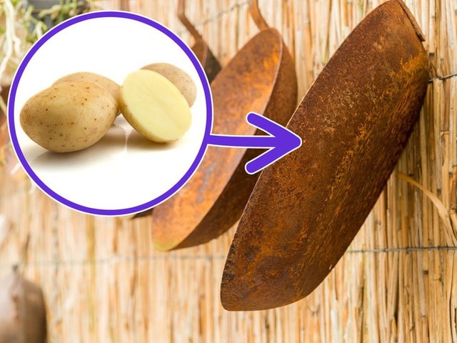Dùng khoai tây và nước rửa bát