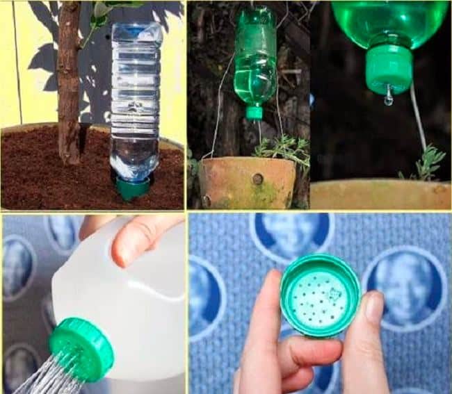 Bình tưới cây từ chai nhựa