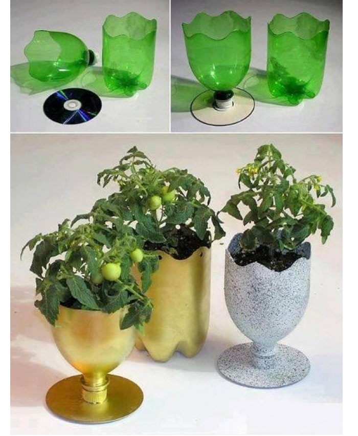 Ý tưởng làm chậu hoa từ chai nhựa