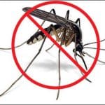 Tổng hợp 9 cách đuổi muỗi vô cùng hiệu quả