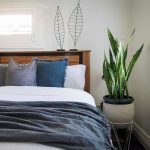 12 loại cây lọc không khí trong phòng ngủ phổ biến nhất