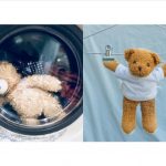 4 cách giặt gấu bông hiệu quả sạch sẽ nhanh chóng