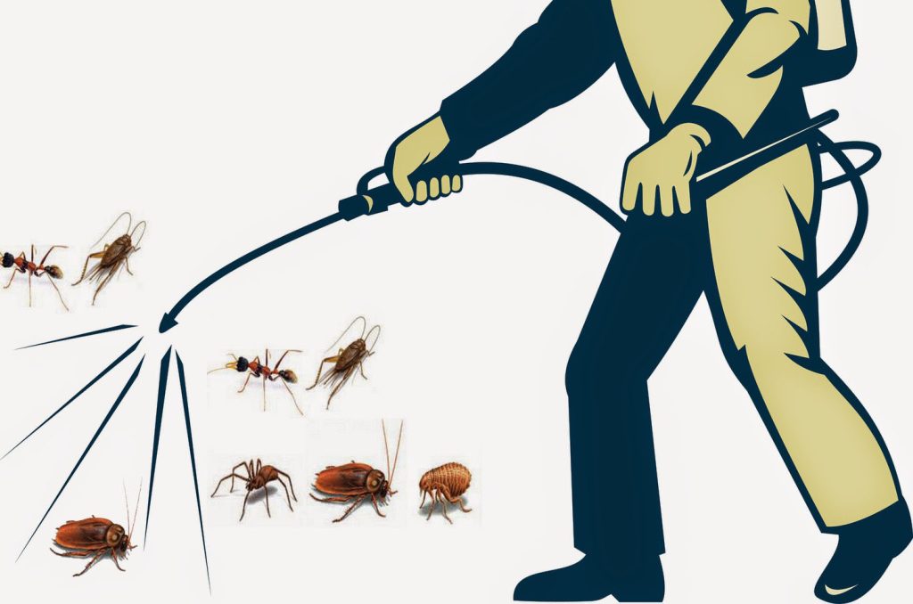 Xử lý bọ chét cho ngôi nhà của bạn tránh bọ chó đốt, bọ nhảy đốt