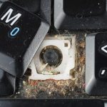 Kiến chui vào laptop, máy tính – Mẹo xử lý đơn giản ngay tại nhà